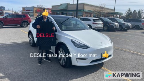 Tesla model Y floor mat