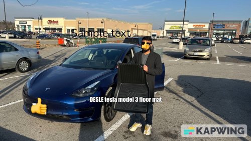 DESLE Tesla model 3 floor mats