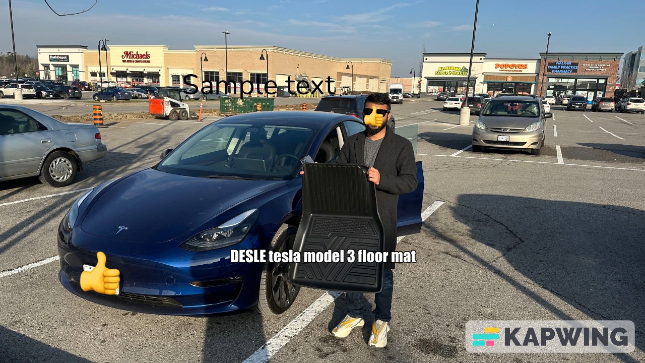 DESLE Tesla model 3 floor mats