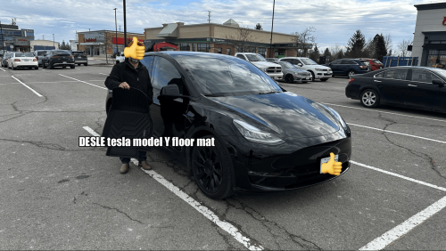 DESLE Tesla model Y floor mat