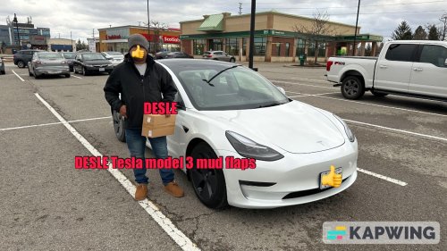 DESLE Tesla model 3 mud flaps