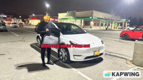 DESLE Tesla model Y floor mat