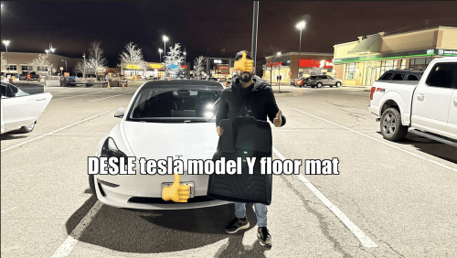 DESLE Tesla model Y floor mat