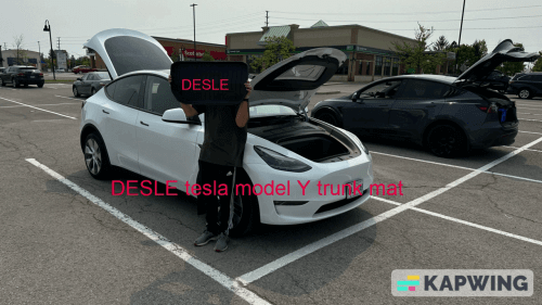 DESLE Tesla model Y trunk mat